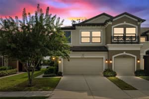9218 Fox Sparrow Rd, TAMPA