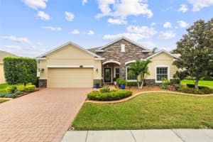 22352 Bartholdi Cir, LAND O LAKES