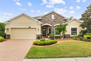 22352 BARTHOLDI CIRCLE, LAND O LAKES, FL 34639 - MLS#MFRTB8426591