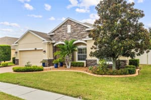 22352 BARTHOLDI CIRCLE, LAND O LAKES, FL 34639 - MLS#MFRTB8426591