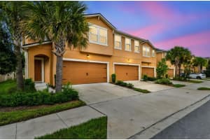 5755 GRAND SONATA AVENUE, LUTZ, FL 33558 - MLS#MFRTB8426597