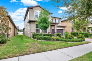 18738 BIRCHWOOD GROVES DRIVE, LUTZ, FL 33558 - MLS#MFRTB8426601