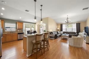 2005 BERRY LAKE DRIVE, BRANDON, FL 33510 - MLS#MFRTB8426613