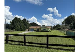 5661 ANTHONY ROAD, OCALA, FL 34479 - MLS#MFRTB8426618