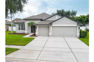 22646 EAGLES WATCH DR, LAND O LAKES, FL 34639 - MLS#MFRTB8426621