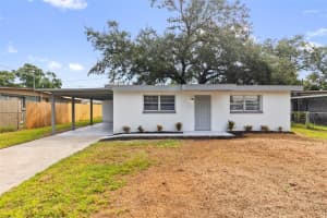 3226 Clifford Sample Dr, TAMPA