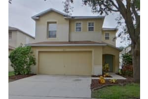 9310 Wellstone Dr, LAND O LAKES