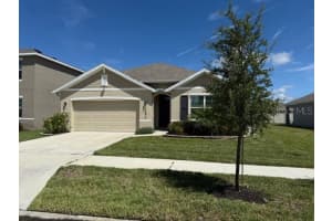 33573 Hamilton Hill Ln, WESLEY CHAPEL