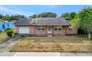 915 MAYDELL DRIVE, TAMPA, FL 33619 - MLS#MFRTB8426687