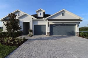 31572 Hayman Loop, WESLEY CHAPEL