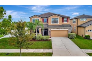 11415 AMAPOLA BLOOM COURT, RIVERVIEW, FL 33579 - MLS#MFRTB8426702