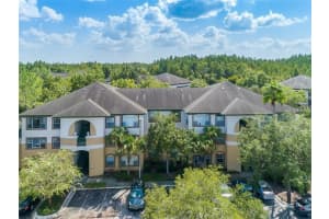 17101 CARRINGTON PARK DRIVE, TAMPA, FL 33647 - MLS#MFRTB8426707