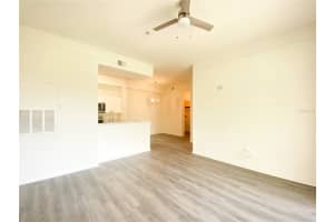 17101 CARRINGTON PARK DRIVE, TAMPA, FL 33647 - MLS#MFRTB8426707