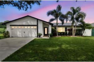 17630 MEADOWBRIDGE DRIVE, LUTZ, FL 33549 - MLS#MFRTB8426709