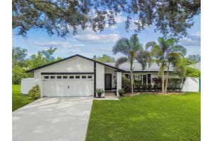 17630 MEADOWBRIDGE DRIVE, LUTZ, FL 33549 - MLS#MFRTB8426709