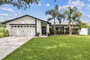 17630 MEADOWBRIDGE DRIVE, LUTZ, FL 33549 - MLS#MFRTB8426709