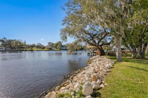 2904 N Shoreview Pl, TAMPA