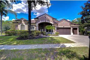 21327 LAKE VIENNA DRIVE, LAND O LAKES, FL 34638 - MLS#MFRTB8426738