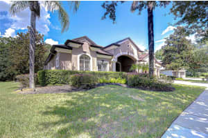 21327 LAKE VIENNA DRIVE, LAND O LAKES, FL 34638 - MLS#MFRTB8426738