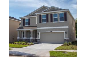 8004 PRAISE DRIVE, TAMPA, FL 33625 - MLS#MFRTB8426772