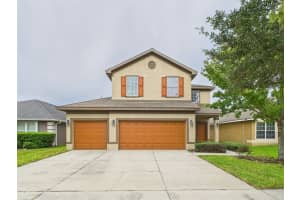 14211 Edinburgh Moor Dr, WIMAUMA