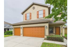 14211 EDINBURGH MOOR DRIVE, WIMAUMA, FL 33598 - MLS#MFRTB8426796