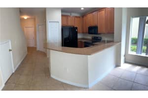 20474 NEEDLETREE DRIVE, TAMPA, FL 33647 - MLS#MFRTB8426811
