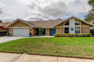 1119 HUNTINGTON LANE, SAFETY HARBOR, FL 34695 - MLS#MFRTB8426814