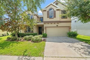 10909 OBSERVATORY WAY, TAMPA, FL 33647 - MLS#MFRTB8426864