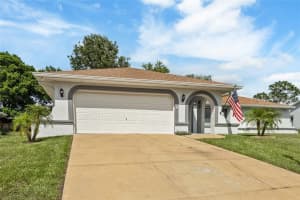 11283 PICKFORD STREET, SPRING HILL, FL 34609 - MLS#MFRTB8426874