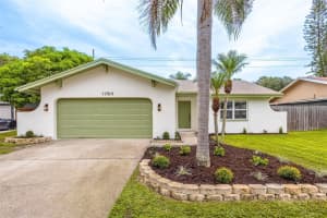 11709 Cypress Park St, TAMPA