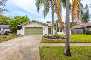 11709 CYPRESS PARK STREET, TAMPA, FL 33624 Sold 10/22/25