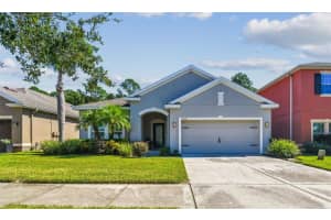 20237 AUTUMN FERN AVENUE, TAMPA, FL 33647 - MLS#MFRTB8426893