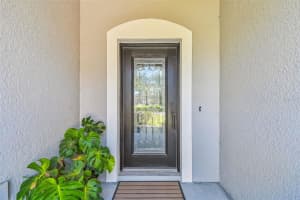 20237 AUTUMN FERN AVENUE, TAMPA, FL 33647 - MLS#MFRTB8426893