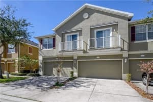 6729 Eagle Feather Dr, RIVERVIEW