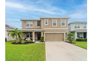 32635 BROOKS HAWK LANE, WESLEY CHAPEL, FL 33543 - MLS#MFRTB8426921