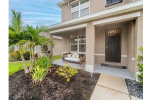 32635 BROOKS HAWK LANE, WESLEY CHAPEL, FL 33543 - MLS#MFRTB8426921