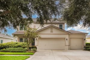 6308 Bridgevista Dr, LITHIA