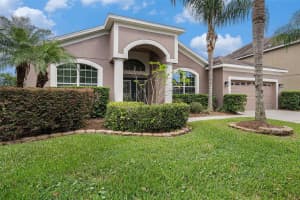 20017 PAINTING NATURE LANE, TAMPA, FL 33647 - MLS#MFRTB8426968