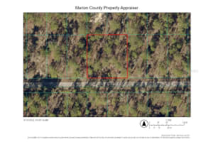 TBD FOXGLOVE LANE, OCALA, FL 34472 - MLS#MFRTB8426975