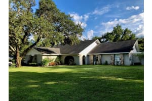 805 COTTAGE HILL WAY, BRANDON, FL 33511 - MLS#MFRTB8426986