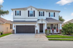 1147 HALAPA WAY, TRINITY, FL 34655 - MLS#MFRTB8426989