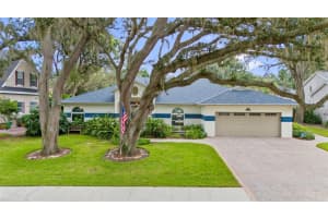 11403 W Queensway Dr, TEMPLE TERRACE
