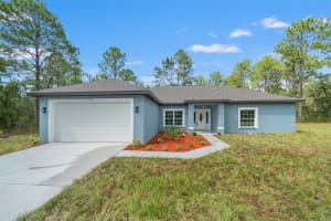 11329 THRASHER AVENUE, BROOKSVILLE, FL 34614 - MLS#MFRTB8426994
