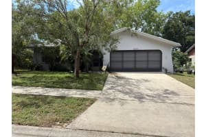 2256 ORANGEHILL AVENUE, PALM HARBOR, FL 34683 - MLS#MFRTB8427025