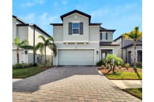 11453 Green Harvest Dr Dr, RIVERVIEW