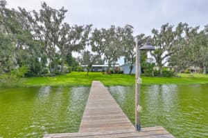 14028 BLACKJACK ROAD, DOVER, FL 33527 - MLS#MFRTB8427150