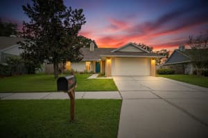 2025 Shadow Pine Dr, BRANDON 2025 Shadow Pine Dr, BRANDON