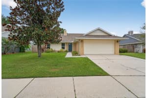 2025 SHADOW PINE DRIVE, BRANDON, FL 33511 - MLS#MFRTB8427152