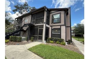 3958 Dream Oak Pl #101, TAMPA